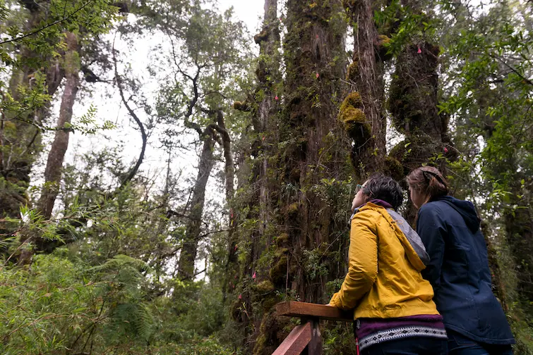 ¿Qué es el Turismo Sostenible?